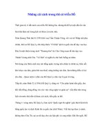 Những cải cách trong thi cử triều Hồ docx