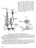 Sinh học tập 2 part 8 pptx