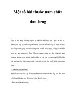 Một số bài thuốc nam chữa đau lưng potx