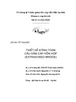 ĐỒ ÁN TỐT NGHIỆP KỸ SƯ CẦU THIẾT KẾ VÀ TÍNH TOÁN CẦU DẦM CÁP HỖN HỢP(EXTRADOSED)