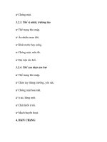 quá trình hình thành và phương pháp điều trị bệnh béo phì trong y học p3 pot