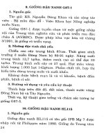 Kỹ thuật trồng các giống lạc, đậu đỗ, rau quả và cây ăn củ mới part 3 pptx