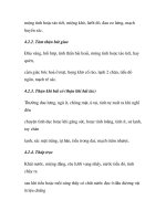 quá trình hình thành và phương pháp điều trị bệnh hội chứng suy sinh dục nam trong y học p5 docx