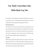 Cây Thuốc Tuyệt Diệu Chữa Nhiều Bệnh Ung Thư pdf