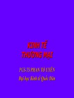 KINH TẾ THƯƠNG MẠI pptx