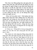Kỹ thuật trồng, chiết, ghép, giâm cành Hoa hồng part 8 pot