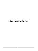 Giáo án các môn lớp 1 pps