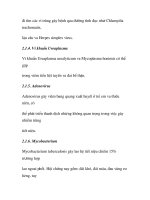 quá trình hình thành và phương pháp điều trị bệnh nhiễm trùng tiết niệu trong y học p3 pps