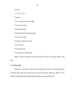 CHAI CHỨA KHÍ CHAI CHỨA KHÍ BẰNG THÉP HÀN CÓ THỂ NẠP LẠI - 5 ppt