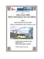 Tiểu luận Phân tích báo cáo tài chính công ty TNHH thương mại và dịch vụ Sapa