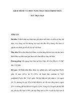 KÍCH THƯỚC VÀ CHỨC NĂNG THẤT TRÁI Ở BỆNH NHÂN SUY THẬN MẠN docx