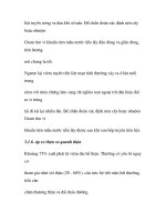 quá trình hình thành và phương pháp điều trị bệnh nhiễm trùng tiết niệu trong y học p7 ppt