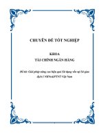 Luận văn Giải pháp nâng cao hiệu quả sử dụng vốn tại sở giao dịch I ngân hàng nông nghiệp và phát triển nông thôn Việt Nam