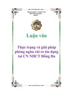 Luận văn Thực trạng và giải pháp phòng ngừa rủi ro tín dụng tai  Đống Đa