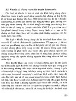 Công nghệ sinh học đối với cây trồng vật nuôi và bảo vệ môi trường - Quyển 2 part 7 pptx