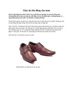 Giày da thu đông cho nam ppsx