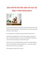 Quá trình lão hóa đến chậm nếu bạn vận động và dinh dưỡng hợp lý pdf