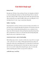 hệ thống tài chính toàn cầu - Giải thích thuật ngữ docx