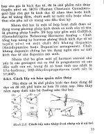 Kỹ thuật sản xuất giống một số loài cá nuôi part 4 potx