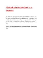 Hình ảnh mùa thu tuyệt đẹp ở xứ sở sương mù pps