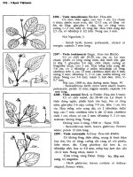 Cây cỏ Việt Nam tập 1 part 6 pdf