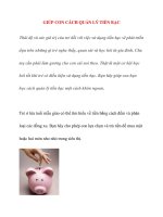 GIÚP CON CÁCH QUẢN LÝ TIỀN BẠC pot