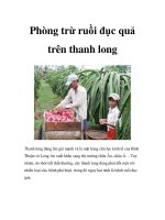 Phòng trừ ruồi đục quả trên thanh long ppsx