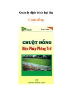 Quản lý dịch bệnh hại lúa - Chuột đồng và biện pháp phòng trừ potx