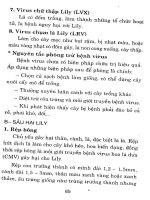 Công nghệ mới trồng hoa cho thu nhập cao - Quyển 3 part 9 potx