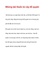 Những bài thuốc từ cây đỗ quyên potx