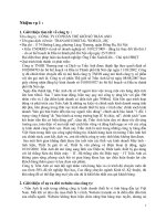 Báo cáo ngành kinh tế pot