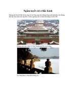 Ngắm tuyết rơi ở Bắc Kinh docx