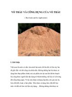 VỎ TRẤU VÀ CÔNG DỤNG CỦA VỎ TRẤU potx