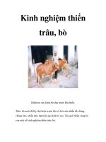 Kinh nghiệm thiến trâu, bò pdf