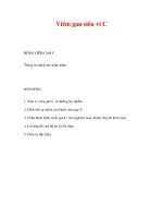 Viêm gan siêu vi C - BỆNH VIÊM GAN C pptx