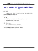 Bài 8. Sử dụng Data Report để in biểu mẫu báo cáo pptx
