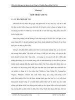 Phân tích hiệu quả sử dụng vốn tại công ty cổ phần dược phẩm cần giờ