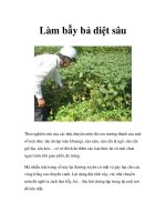 Làm bẫy bả diệt sâu doc