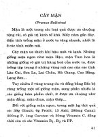 Kỹ thuật trồng cây ăn quả hiệu quả kinh tế cao tập 2 part 5 ppsx