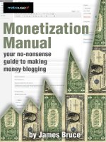 How make use of  Monetisation
