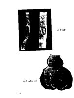 Kỹ thuật nuôi gà thả vườn trong gia đình part 9 docx