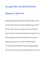sự nguy hiểm của Sốt Xuất Huyết pot