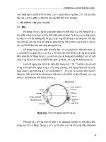 Tìm hiểu sự ra đời của cơ sở xủ lý ảnh phần 4 ppt