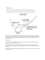 Mẫu đồ thị 2 dây ppt