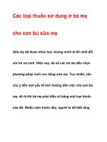 Các loại thuốc sử dụng ở bà mẹ cho con bú sữa mẹ pps