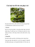 Các loại rau tốt cho sản phụ ở cữ doc