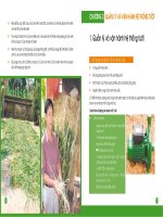 Thiết lập hệ thống tưới để trồng cỏ chất lượng cao - chương 3 pptx