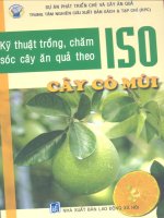Kỹ thuật trồng, chăm sóc cây ăn quả theo ISO - Cây có múi part 1 pps