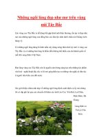 Những ngôi làng đẹp như mơ trên vùng núi Tây Bắc ppsx