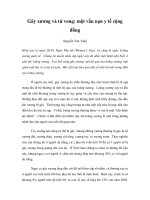 Gãy xương và tử vong: một vấn nạn y tế cộng đồng ppsx